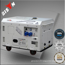 Bison China Zhejiang 10KW Silent Diesel Powered Engine Strong Diesel Mikano Type Explosion Proof Generator